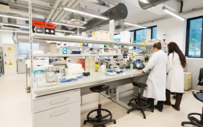 GRAL Master 2 Scholarships 2025-2026